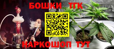 индика Будённовск