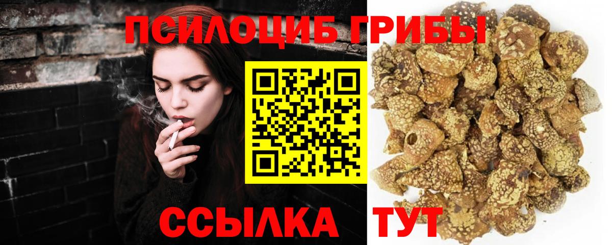 Псилоцибиновые грибы мицелий Ростов Великий